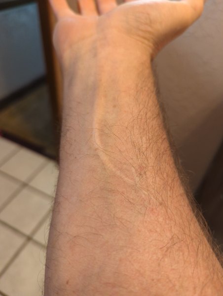 17200504145986057483633862402000.jpg