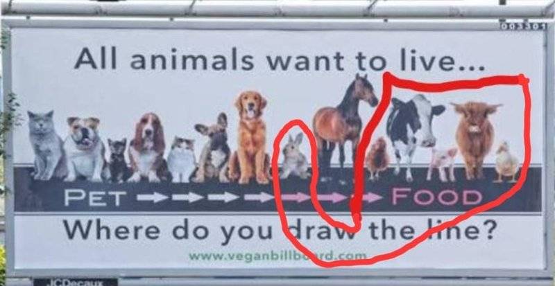 1720050637193.jpeg