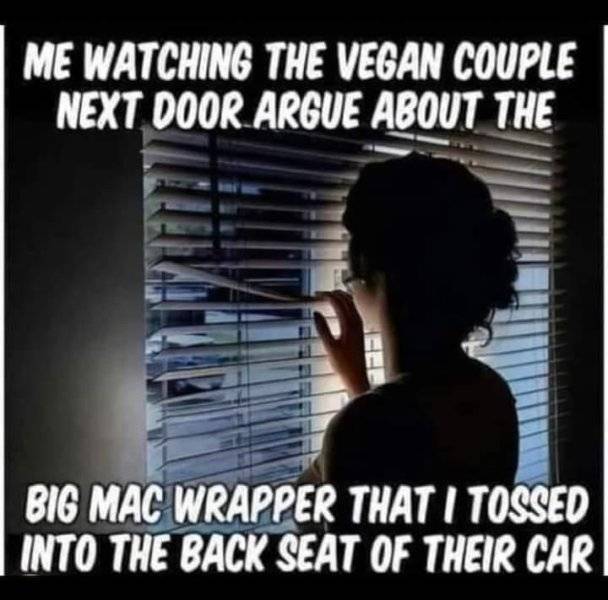 1725036679080.jpeg