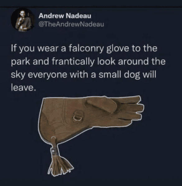1728517831466.png