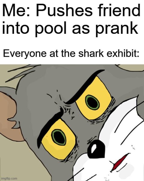 1736118134881.jpeg
