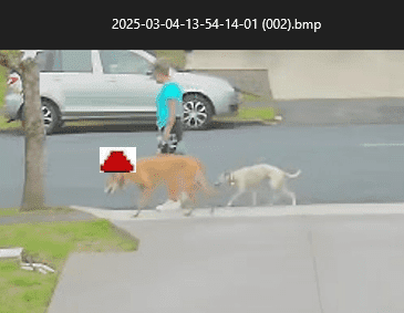 1741050008303.png