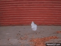 1741096053846.gif