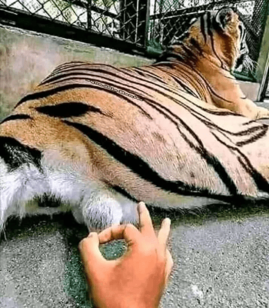 1742410010739.png