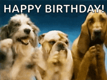 1742853781897.gif