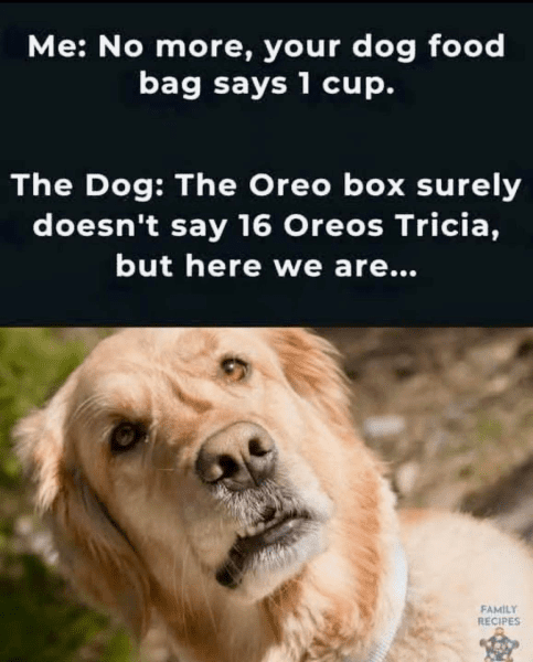 1743184894398.png