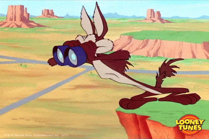 1743202879693.gif