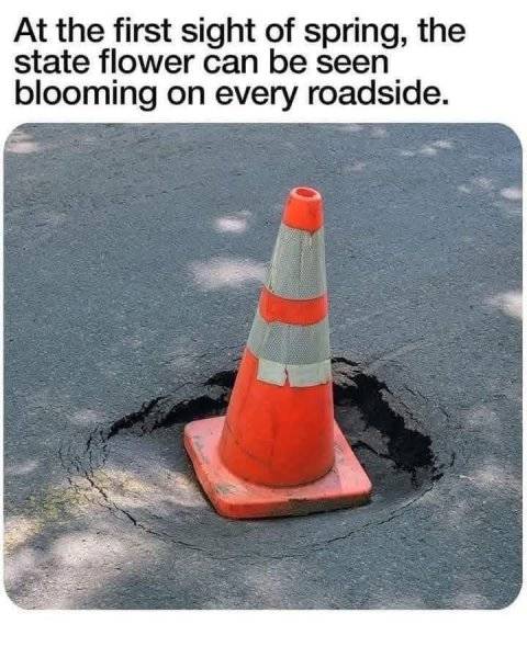 1743208974165.jpeg