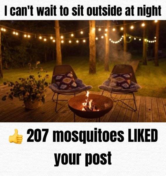 1743209709651.jpeg