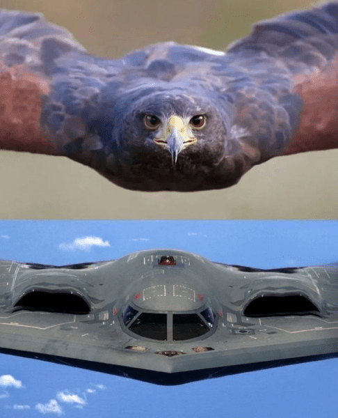 1743876112129.png
