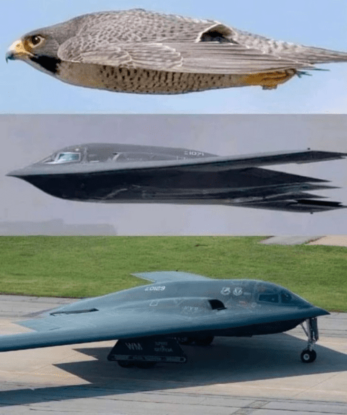 1743876123737.png