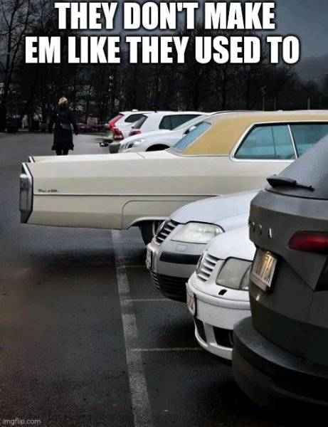 1744159925925.jpeg