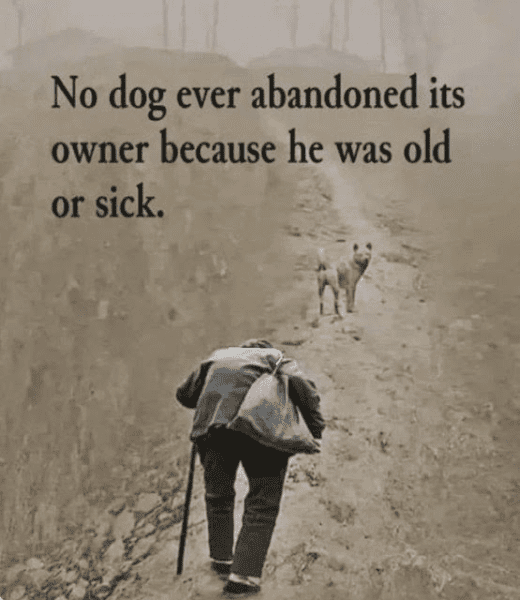 1744355726115.png