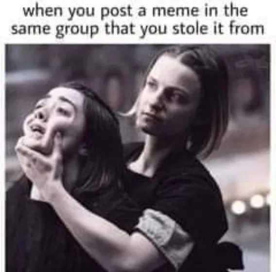 1745020458019.jpeg