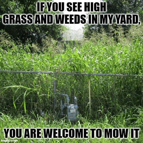 1745541135718.png