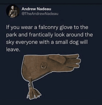 1746470479197.png
