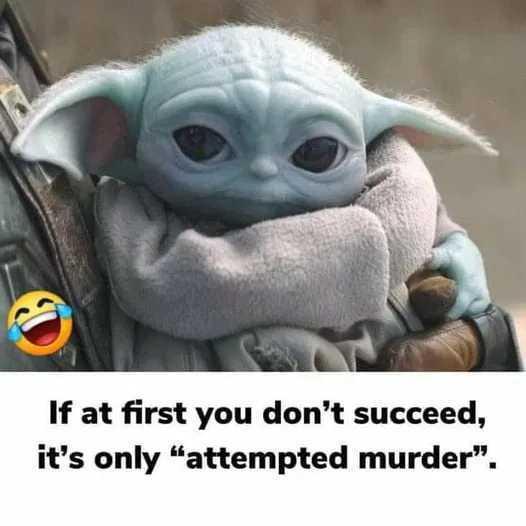 1747157939099.jpeg