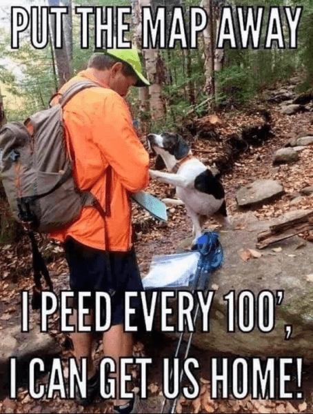 1748623164008.png