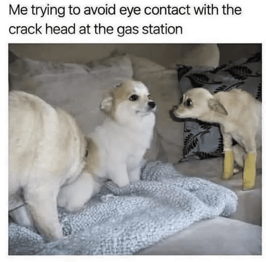 1749214259943.png