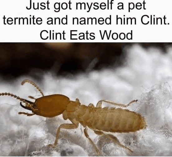 1749214305791.png