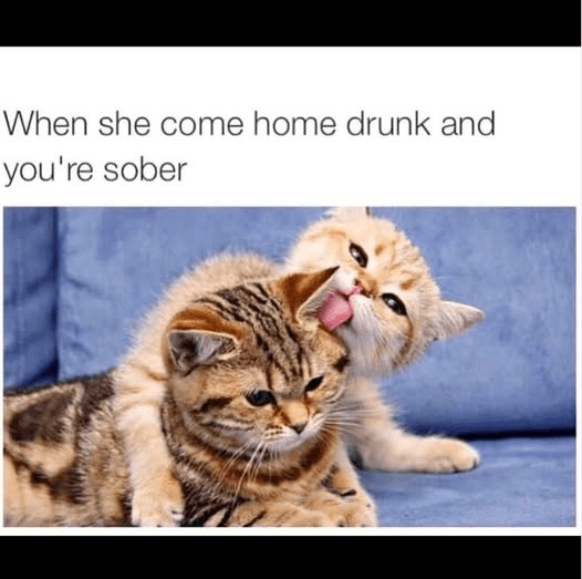 1749240033648.png