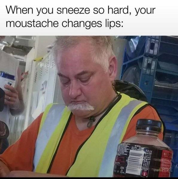 1749598189503.jpeg
