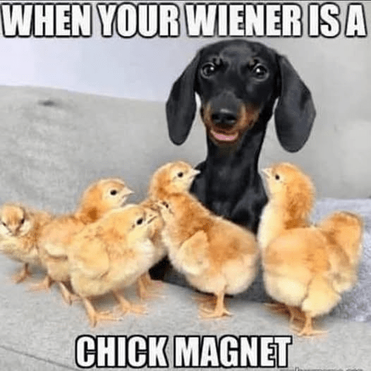 1749827505591.png