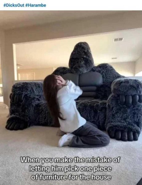 1749861318241.jpeg
