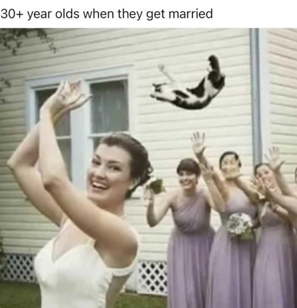 1750372857382.jpeg