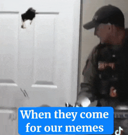 1750372888025.gif