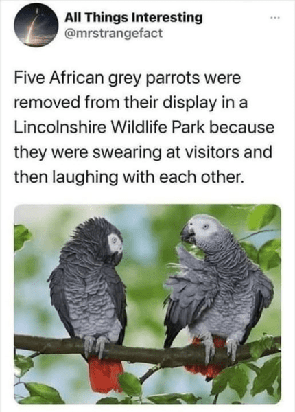 1750607437744.png