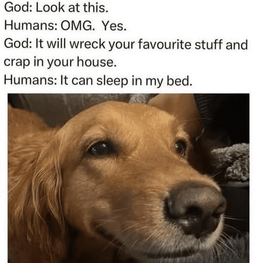 1750607516873.png