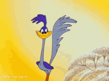 1750704596847.gif