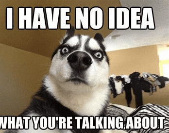 1751504212582.png