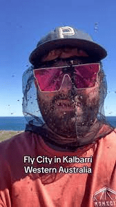 1752289012068.png