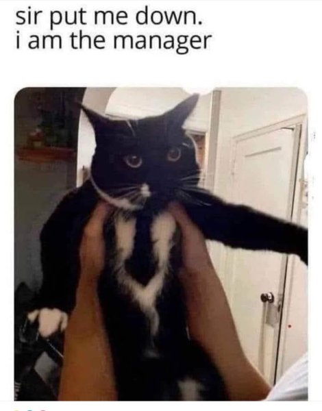 1753065551676.jpeg