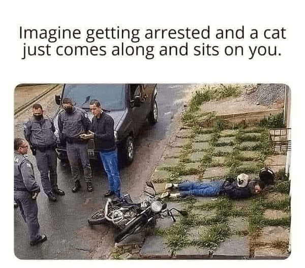 1753461676188.png