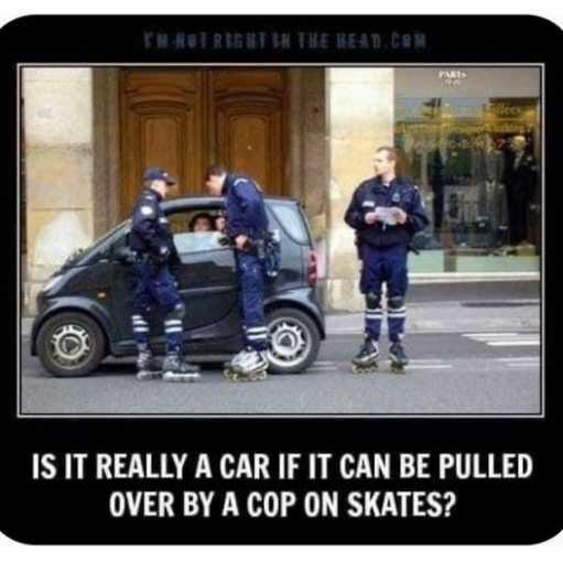 1753791891783.jpeg