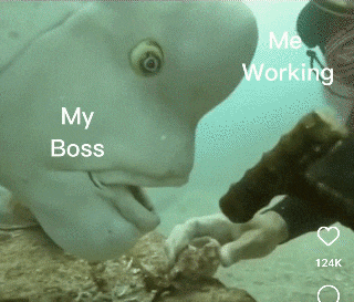 1753951974247.gif