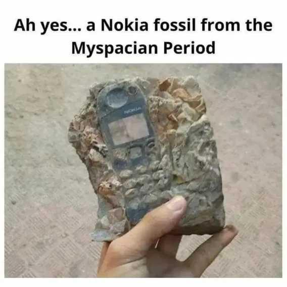 1753995565447.jpeg