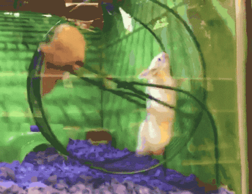 1754223288008.gif