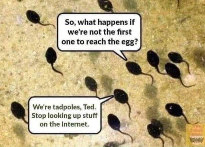 1754267342059.jpeg