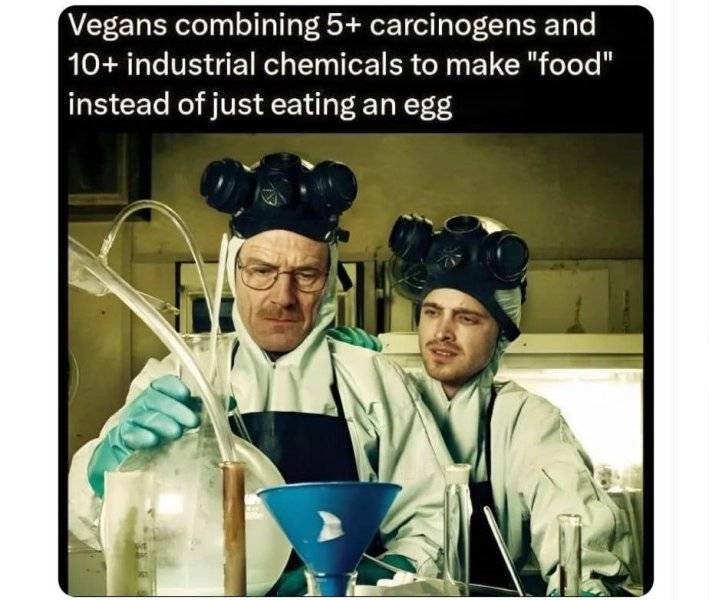 1754732085887.jpeg