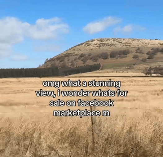 1754944109609.png
