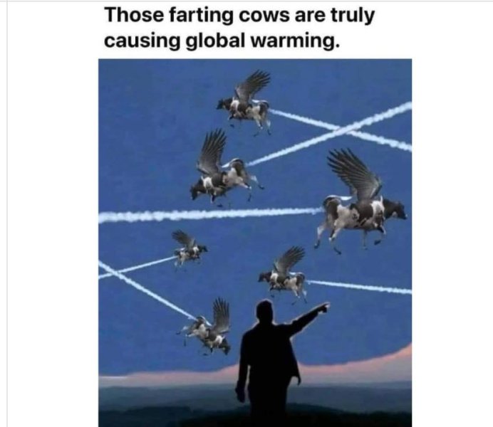 1757159512233.jpeg