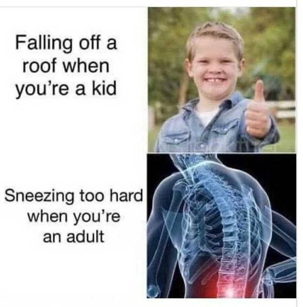 1758754701626.jpeg
