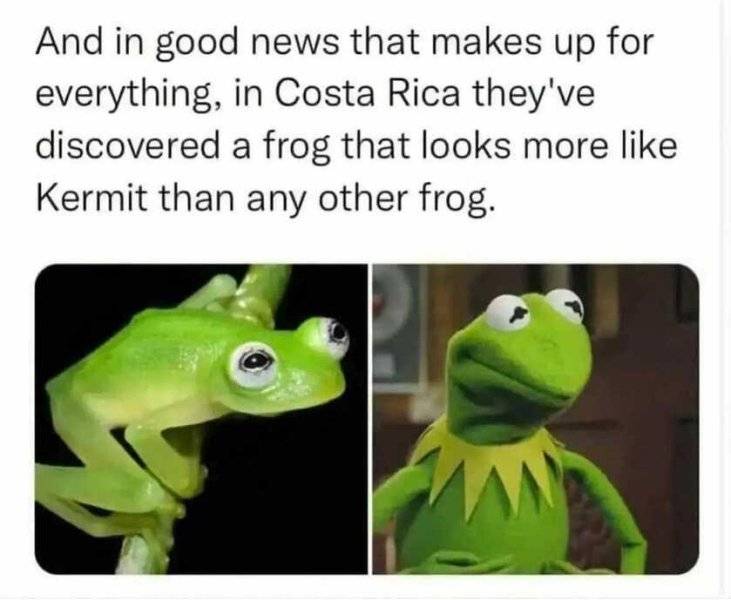 1758754756766.jpeg