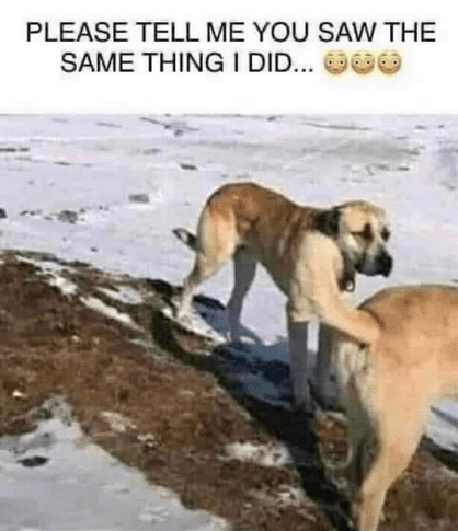 1759270737108.png