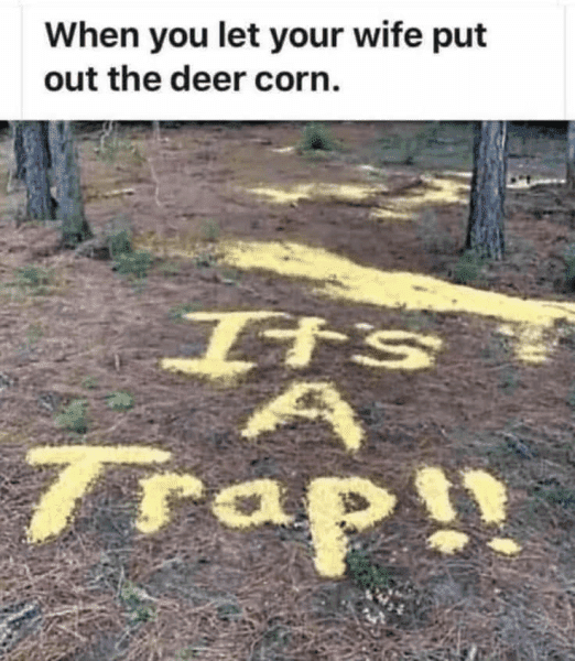 1759521165355.png