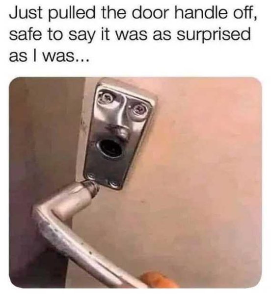 1759536132355.jpeg